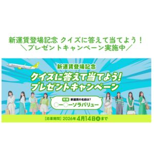 ソラシドエア 片道航空券 他