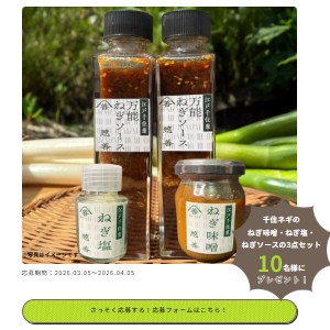 ねぎ味噌・ねぎ塩・ねぎソースの3点セット