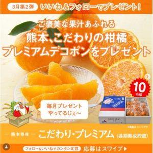 熊本県産 プレミアム デコポン（約3kg）