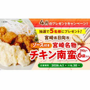 宮崎名物 チキン南蛮（ソース付き）