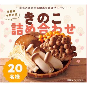 JA中野市 きのこ詰め合わせセット