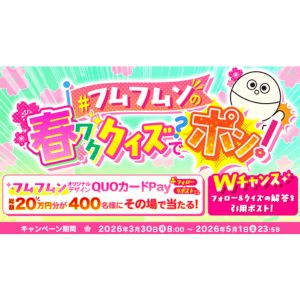 QUOカードPay500円分