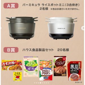 バーミキュラ ライスポットミニ 他