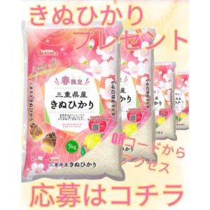 ミエライスパックごはん詰め合わせSET