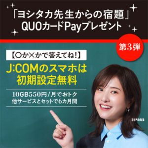 QUOカードPay500円分
