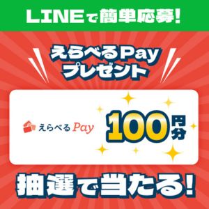 えらべるPay100ポイント