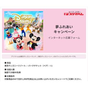 ディズニーリゾート・パークチケット