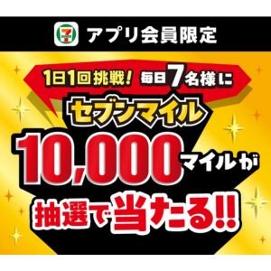 セブンマイル1万円分