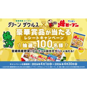 宮崎県産野菜＆ビーフン詰め合わせ