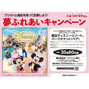 ディズニーリゾート・パークチケット