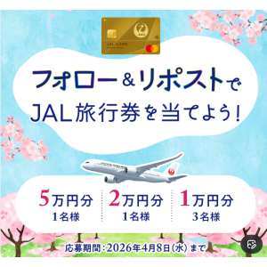賞品画像：JAL旅行券最大5万円分　他