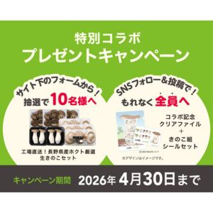 生きのこ詰め合わせセット 他