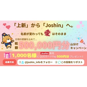Joshin専用QUOカードPay500円分