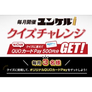オリジナルデザインQUOカードPay500円分