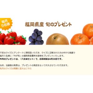 福岡県産「八女茶セット」