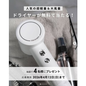 TSUYARIS ミニイオンドライヤー