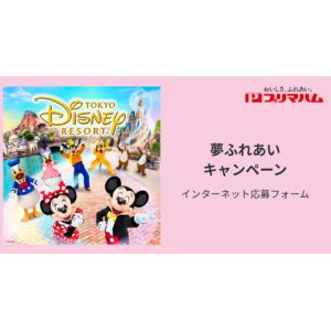 ディズニーリゾート・ペアパークチケット