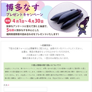 博多なす等福岡県産野菜の詰め合わせ