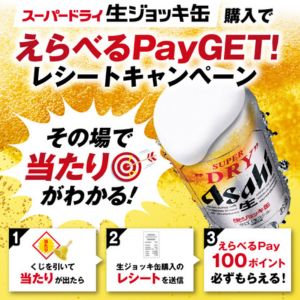 えらべるPay 100ポイント