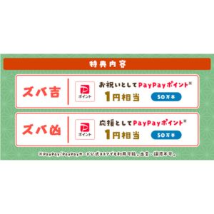 PayPayポイント1円相当