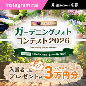 コメリギフトカード30,000円分　他