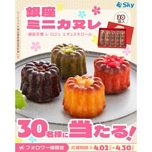 銀座ミニカヌレ 20個入