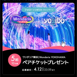 ワンダリア横浜 ペアチケット