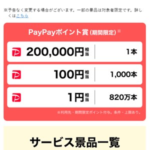PayPayポイント20万円相当 他