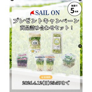 スプラウトほか野菜詰め合わせセット