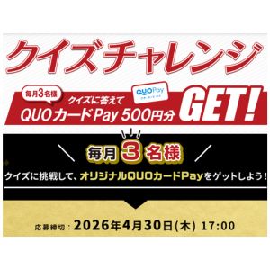 オリジナルQUOカードPay500円分