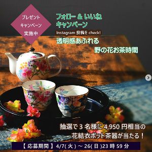 花結衣ペアポット茶器