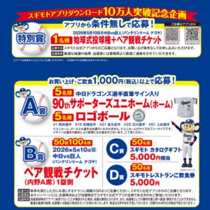 [愛知]中日vs読売 始球式投球権＆ペア観戦チケット 他