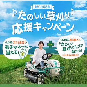 えらべるPay500円分