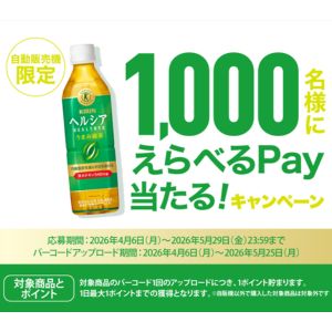 えらべるPay 500円相当