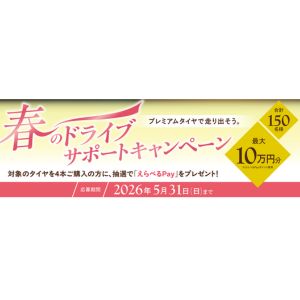 えらべるPay 最大10万円分