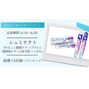 シュミテクト ハブラシ＆ハミガキセット