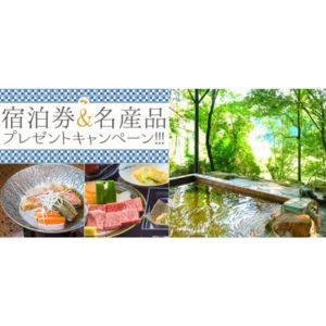 プロが選ぶホテル・旅館1泊2食付ペア宿泊券 他