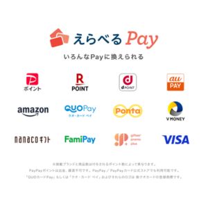 えらべるpay1,000円分