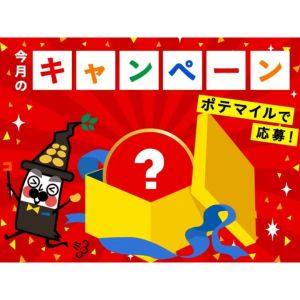 ポテトチップス6袋詰め合わせセット 他