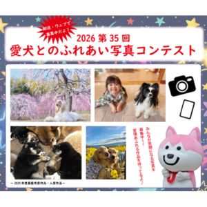 ジャパンケネルクラブ 賞品5万円相当 他