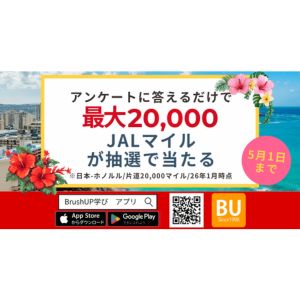 JALマイル2万マイル 他