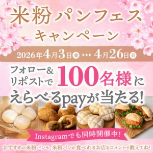 えらべるPay500円分