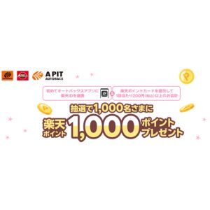 楽天ポイント 1,000ポイント