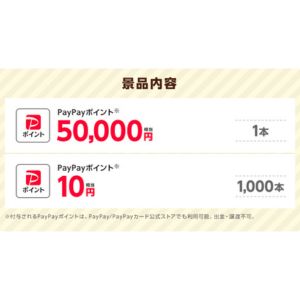 PayPayポイント5万円相当 他