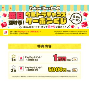 PayPayポイント1万円相当 他