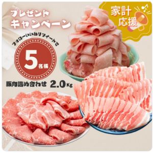 国産豚肉詰め合わせ2kg