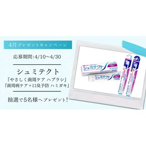 シュミテクト 歯周ケア2点セット