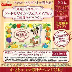 東京ディズニーシーパークチケット（ペア）他