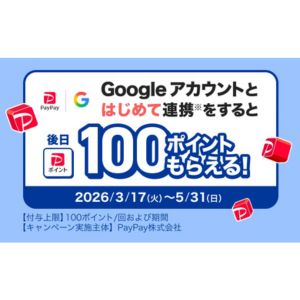 PayPayポイント100円相当