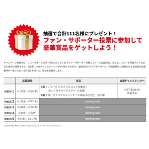 Jリーグ推しクラブマスコットグッズ福袋 他